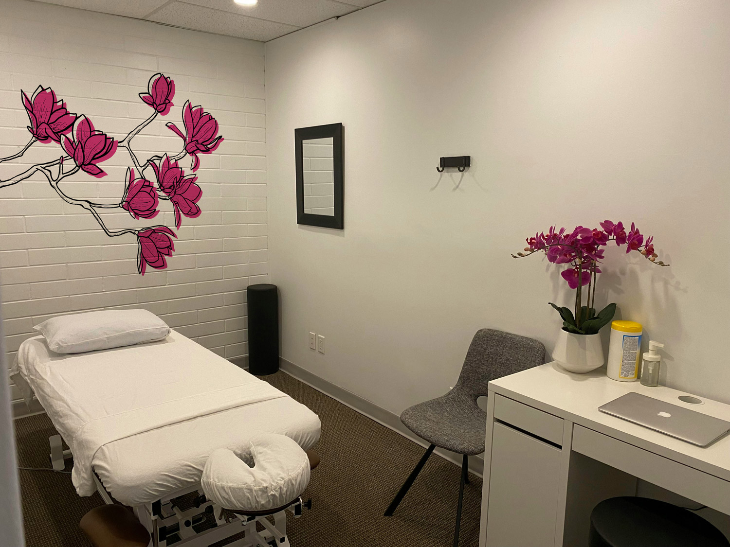 branche magnolia framboise esthetique